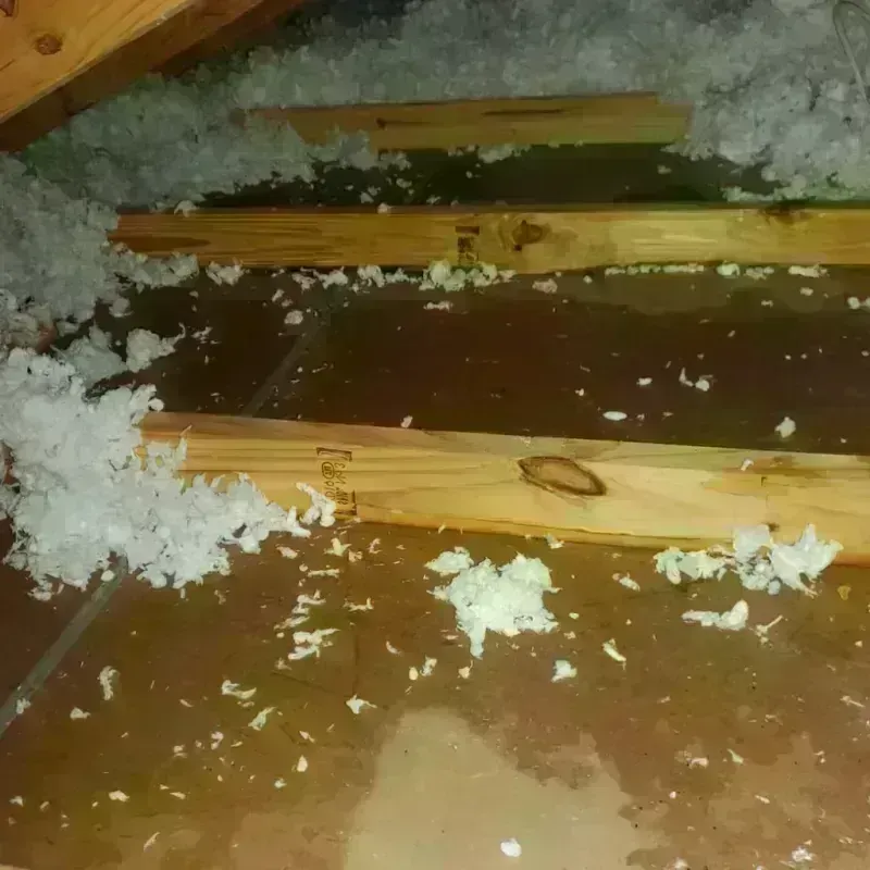 Attic Water Damage in Lewisville, WA